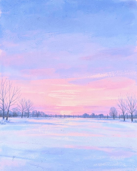 Rose Snow