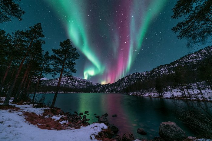 Northern Ribbons