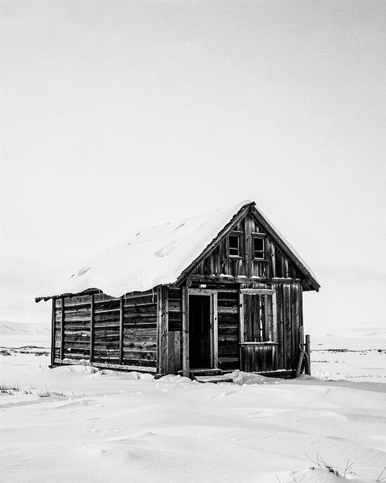 Tundra Cabin