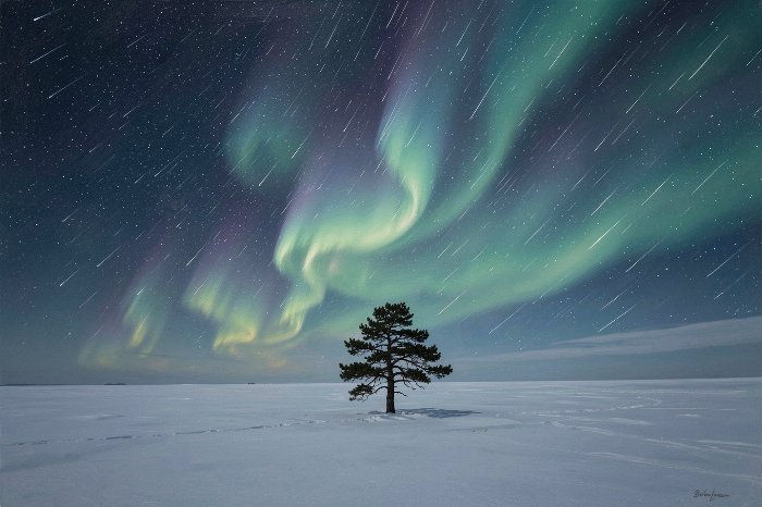 Solitary Glow