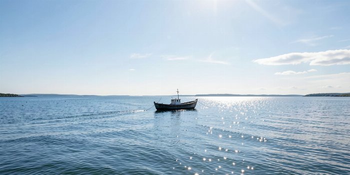 Still Harbour III