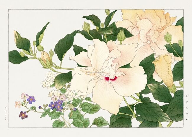 Browallia & ibiscus flower woodblock painting