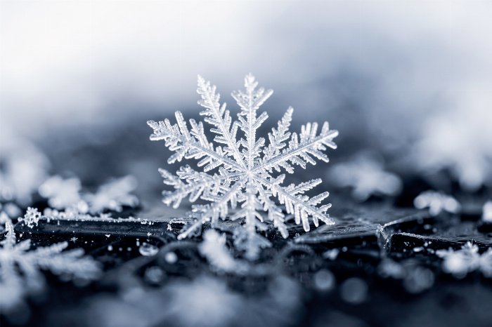 Ice Lace