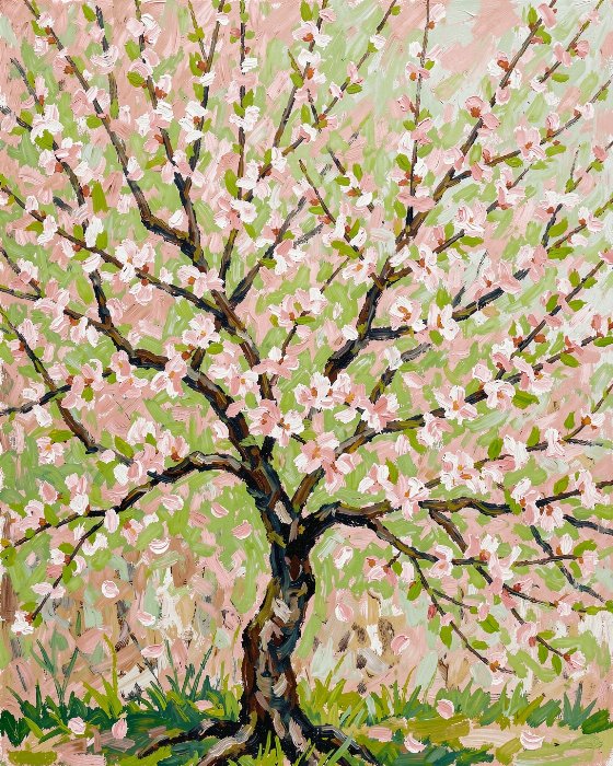 Plum Blossom