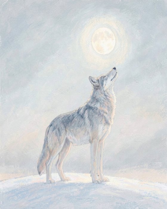 Winter Howl II