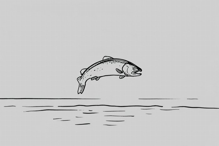 Leap II