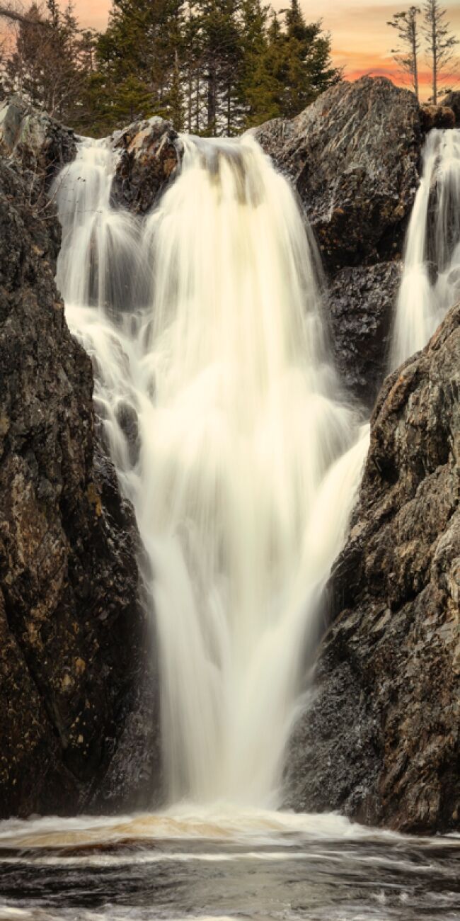 Forest Stream