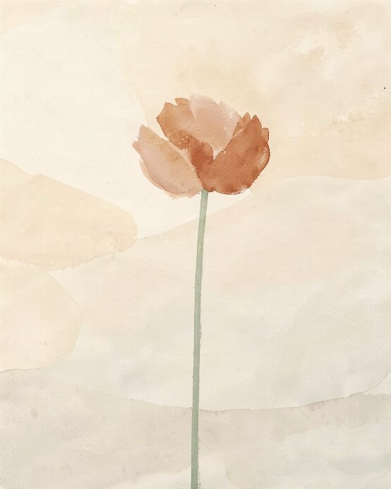 Quiet Peony