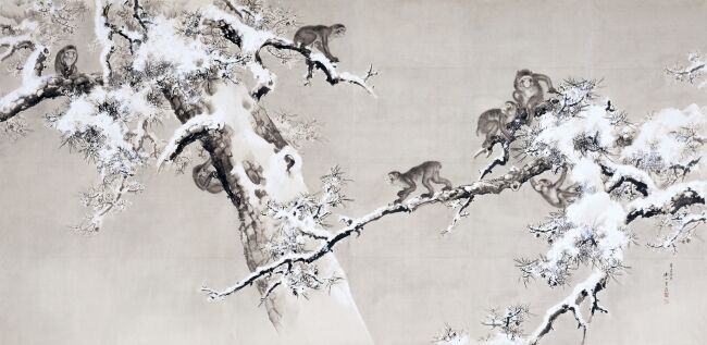 Monkeys and pine trees