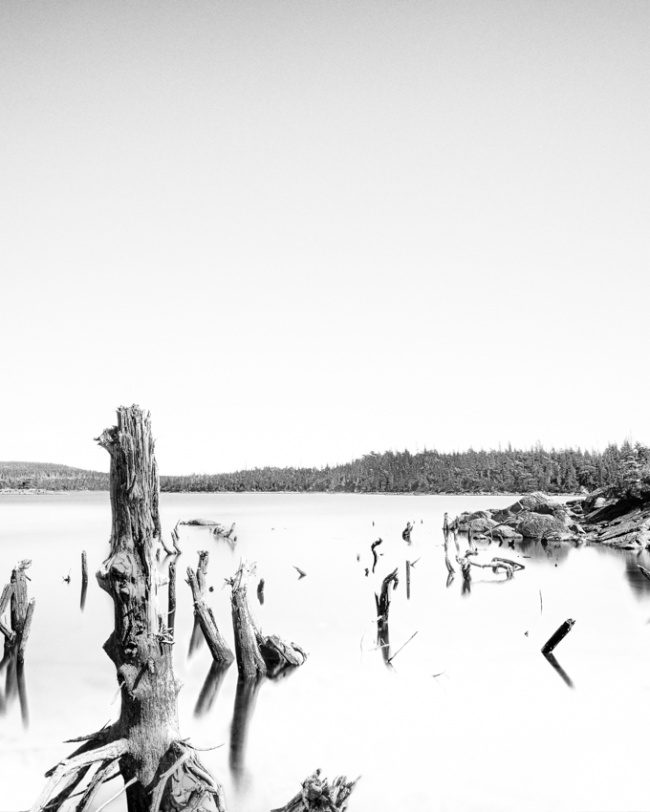 Rugged Dawn II