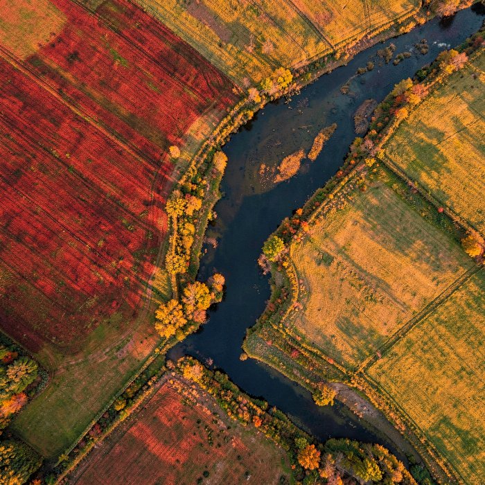 River Ribbon II