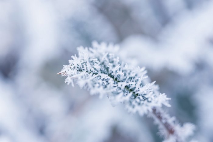 Ice Edge