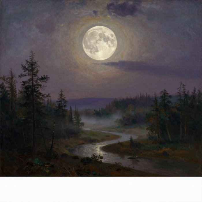 Moonlit Valley