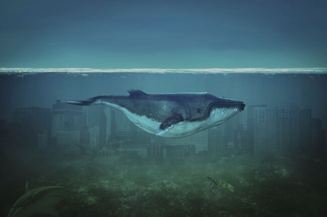 Blue Whale painting