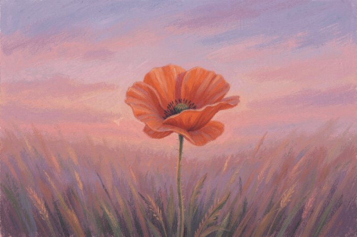 Dusk Poppy