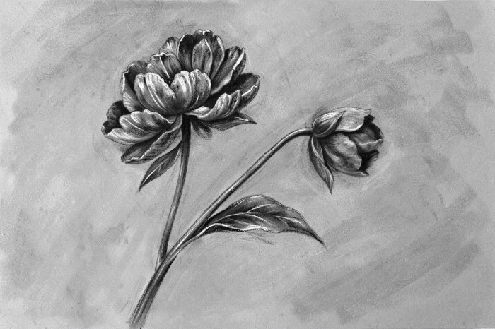 Charcoal Blooms