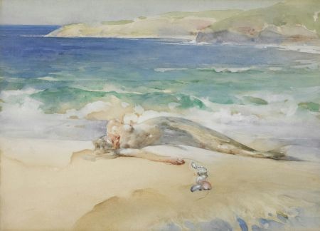 Coastal Serenity Snapshot