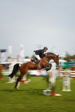 Bold Hoof Jumper