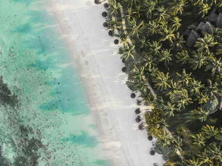 Turquoise Tropic Bliss