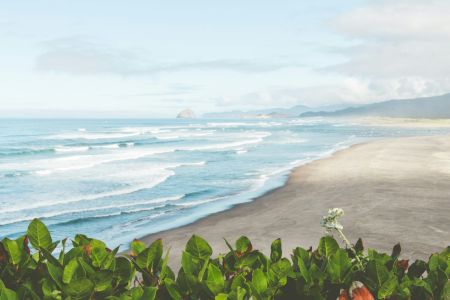 Splashing Seaside Serenity
