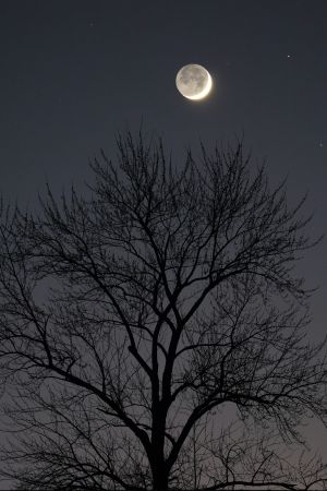 Silent Lunar Sentinel