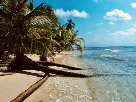 Caribbean Coastal Cruise