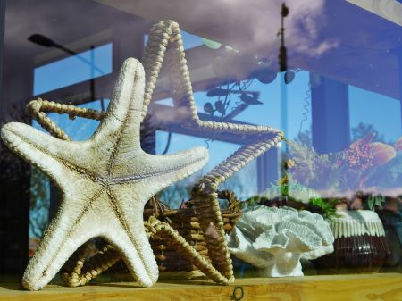 Seaside Treasures Displayed